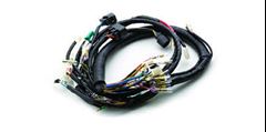 Z-CHICOTE YBR FACTOR 09/10 E/ED