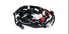 Z-CHICOTE FAN 150 2010  ESI