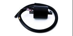 Z-BOBINA IGN BIZ 125 06/08/POP 100