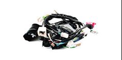 Z-CHICOTE FAN 125 09/11 ES