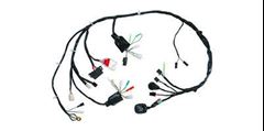 Z-CHICOTE  FAN 125 14/15 ES/ESD