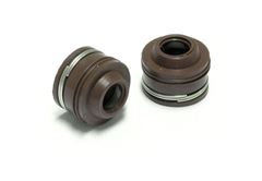 Z-RET. VALV. (VITON MARRON) BIZ/TI150/TO