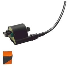 Z-BOBINA IGN TITAN 160/FAN 150 14/15