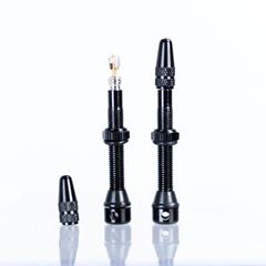 VALVULA ALLOY TUBELESS PRETO 48MM 