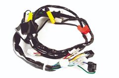Z-CHICOTE FAN 125 05/08 KS