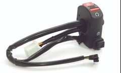 Z-INTERR PART BROS 150 09/15 ESD