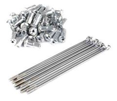 Z-RAIO TZ TI-00 TI-150 KS/ES DT 00 INOX