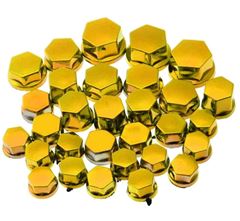 Z-CAPA PARAFUSO DOURADO (30 PECAS)