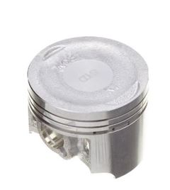 Z-PISTAO C/ANEL BIZ/POP 110 0,25
