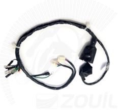 Z-CHICOTE CRF230F 07/14