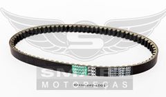 Z-CORREIA TRANSMISSAO LEAD110 10-15 BURG