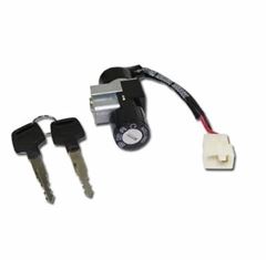 Z-CHAVE IGN BIZ 100 13/15
