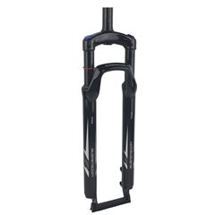 GARFO SUSP. 29 ACO 28.6 AHEAD DISC PTO