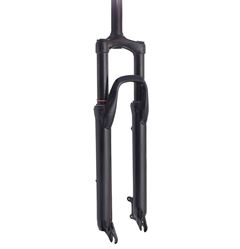 GARFO SUSP. 29 ACO 28.6 AHEAD DISC PTO